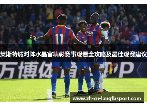 莱斯特城对阵水晶宫精彩赛事观看全攻略及最佳观赛建议