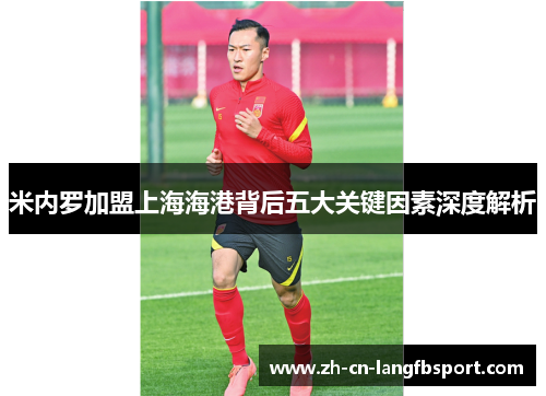 米内罗加盟上海海港背后五大关键因素深度解析