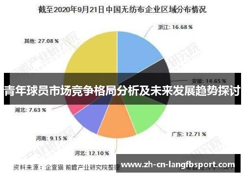 青年球员市场竞争格局分析及未来发展趋势探讨